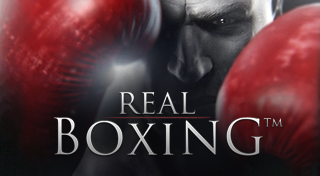 真实拳击Real Boxing奖杯一览